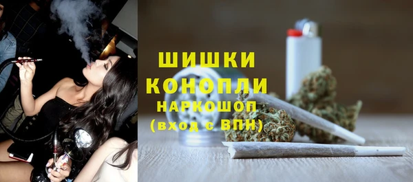 шишки Нягань