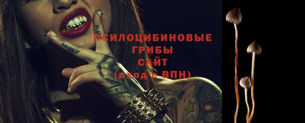 jwh Осинники
