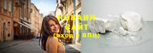 шишки Нягань