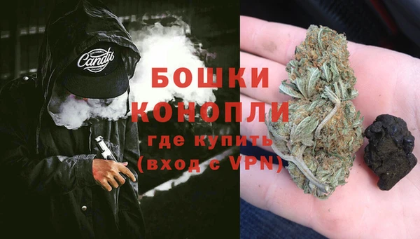 шишки Нягань