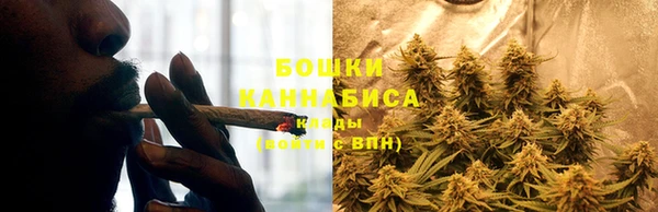шишки Нягань