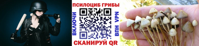 Псилоцибиновые грибы Psilocybine cubensis  Котельниково 